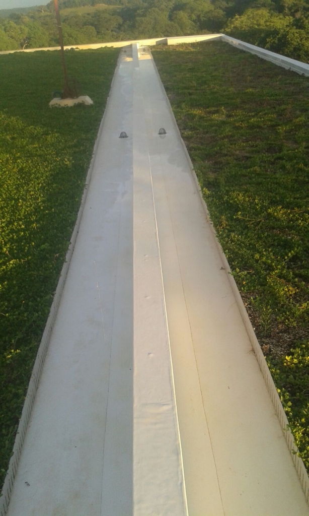 Clean gutters on green roof TPO membrane